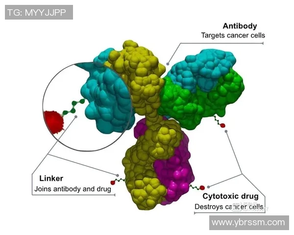 ss战队adc比赛-探究SS战队ADC比赛的精髓,制胜策略与技术突破-ss战队adc比赛 ss战队adc比赛-探究SS战队ADC比赛的精髓,制胜策略与技术突破-ss战队adc比赛